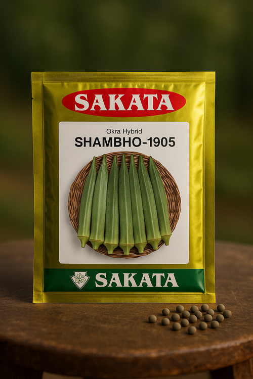 Sakata SHAMBHO-1905: Premium Hybrid Okra Seeds for Superior Yield