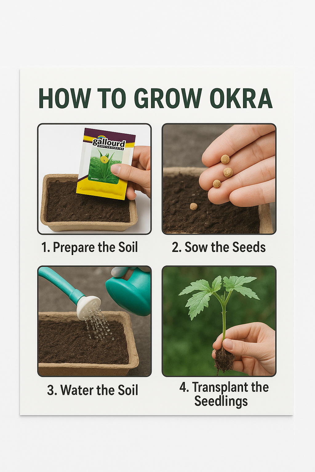 Hybrid Okra (Gollourd) Seeds – Trusted by Farmers | Mahavir Brand